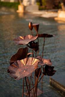 锻铜荷花荷叶水景雕塑铜雕铜荷叶组合 铸铜雕塑地产雕塑