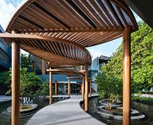 巧匠雕塑生产厂家作品案例：树叶铁艺廊架